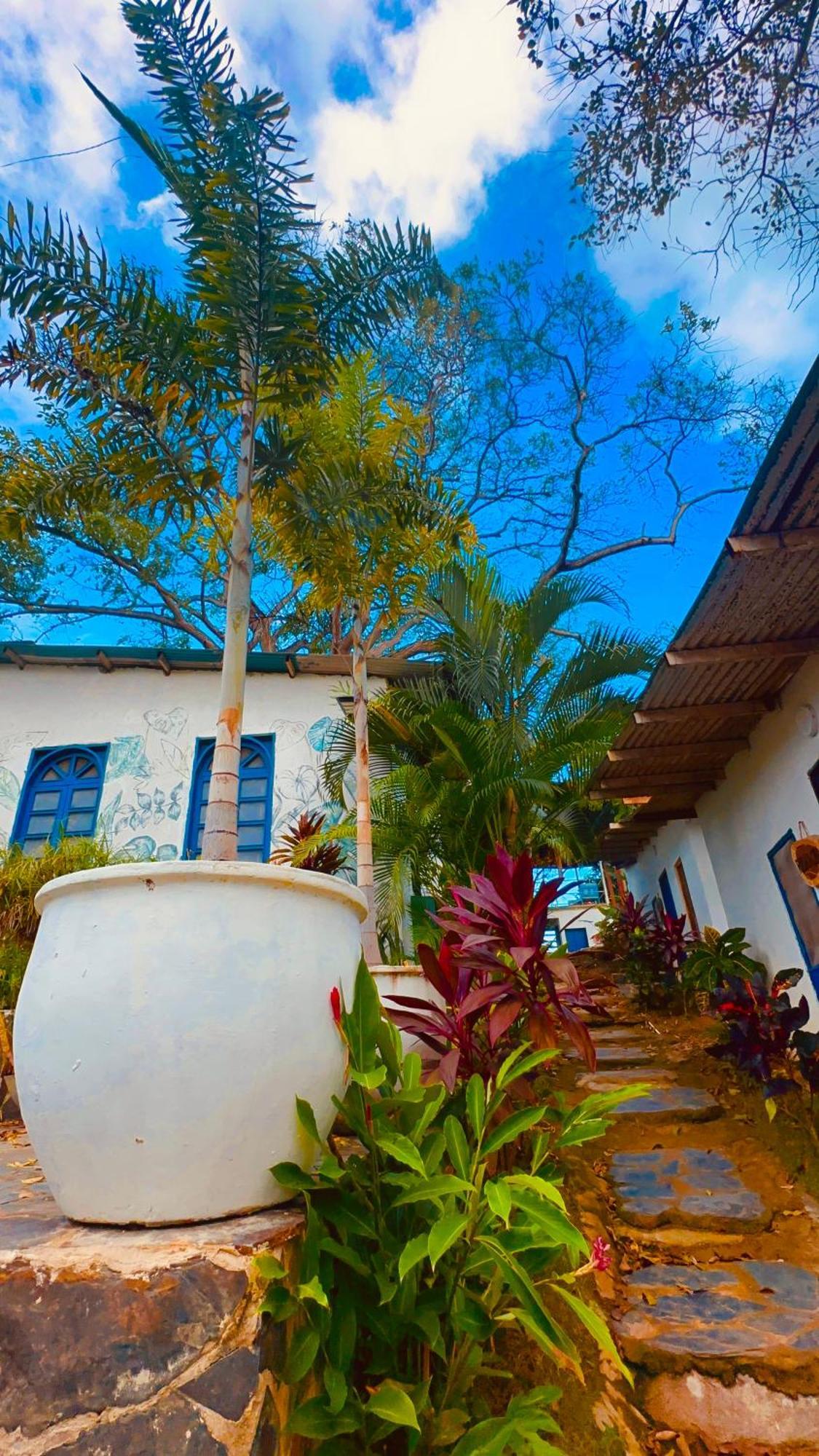 Hotel Renasci Palomino Exterior photo
